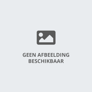 Bestelbus klasse C